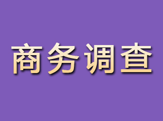 磐石商务调查